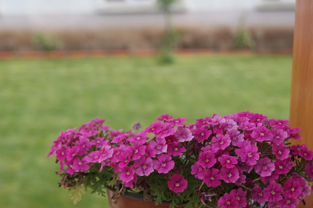 Ender Hotel (Adults Only) Ayvalı Buitenkant foto